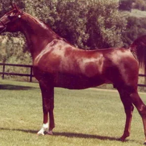 KILIFA