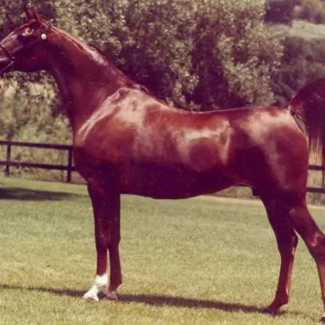 KILIFA