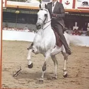 El Magato