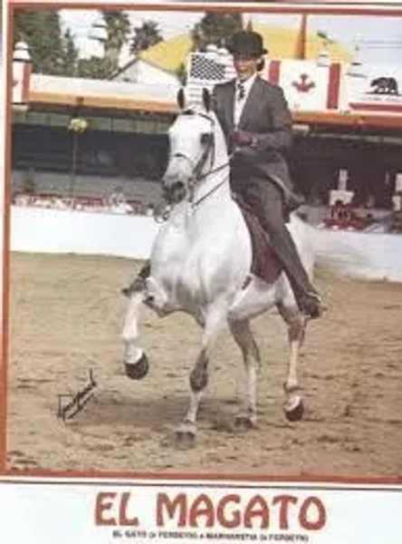 El Magato