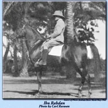 IBN RABDAN 1917 straight egyptian