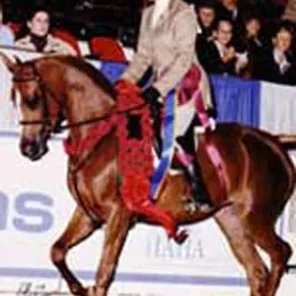 legacys diva