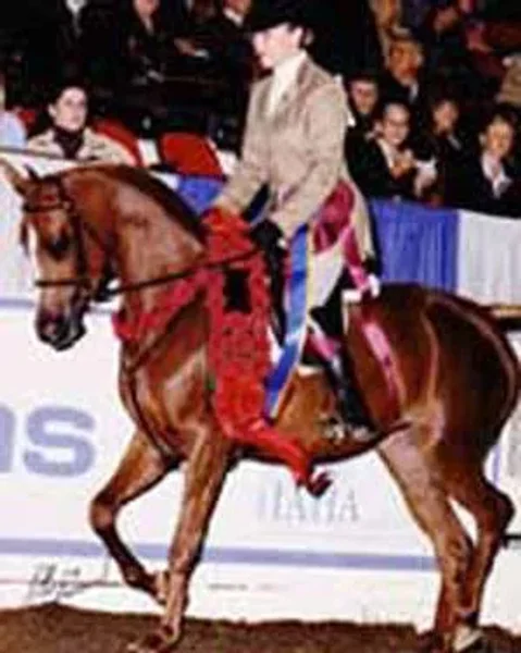 legacys diva