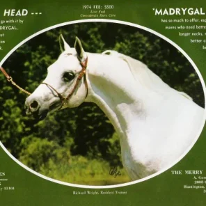 Madrygal
