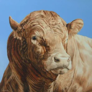 Beefalo