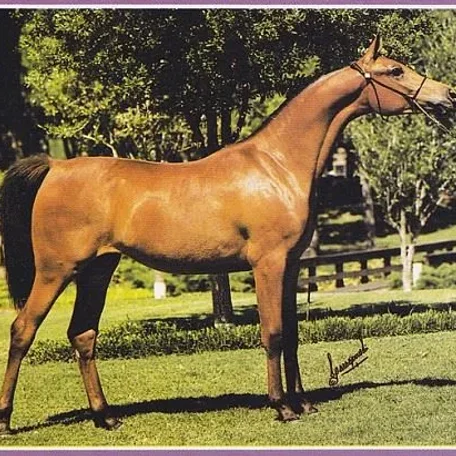 Equitie