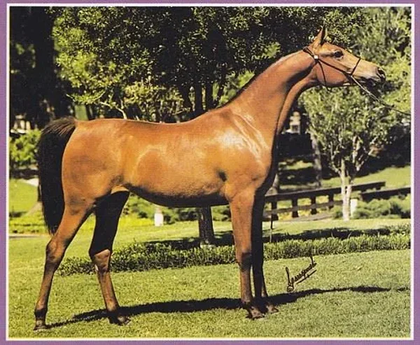 Equitie