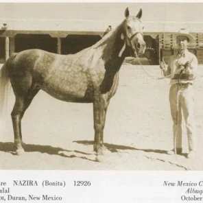 Nazira