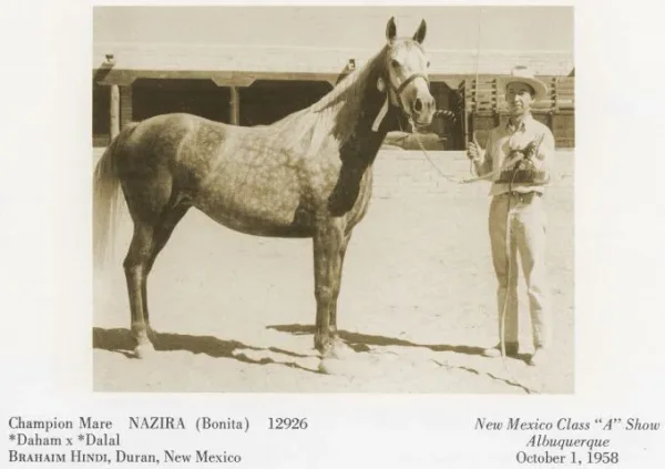 Nazira