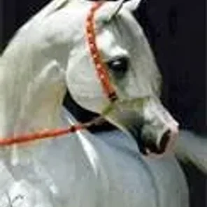 Imperial Baarez