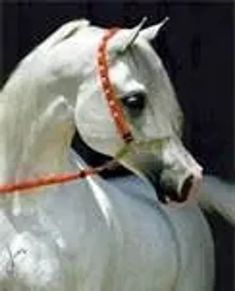 Imperial Baarez