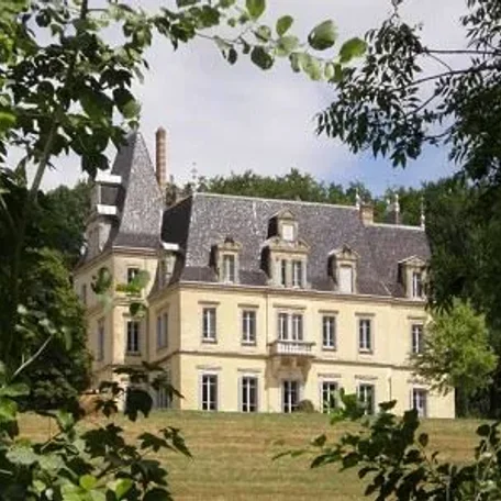 10 bedroom French Chateau in Ain, Rhone-Alpes for sale with 150000m2 of land - See other Discussion Topics on our page for additional listings - Now priced at just $1,316,700