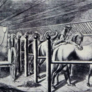 Horse Care - Barns and Stables