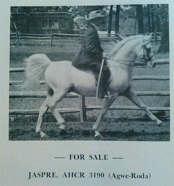 JASPRE