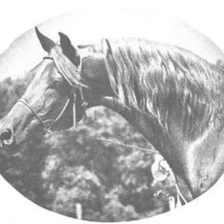 Tsali