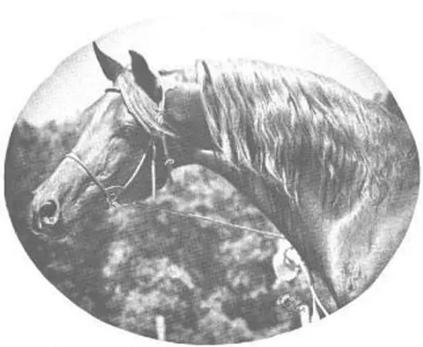 Tsali
