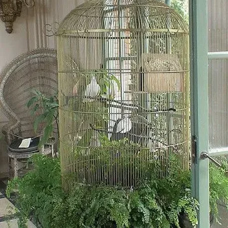 Magnificent Bird Cages
