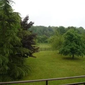 Equestrian Farmhouse For Sale in Tarn, France