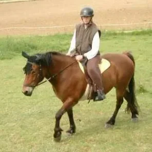 Landais