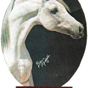 KJ Quick Silver