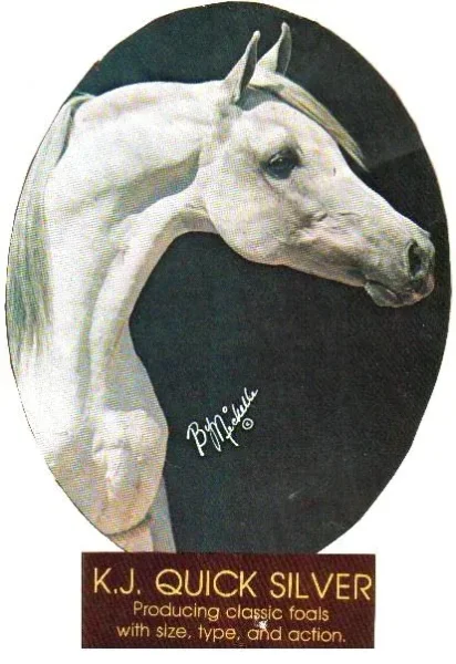 KJ Quick Silver