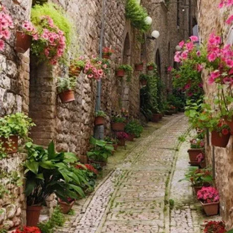Charming lanes of Gousainville