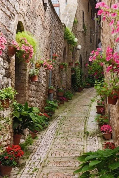 Charming lanes of Gousainville
