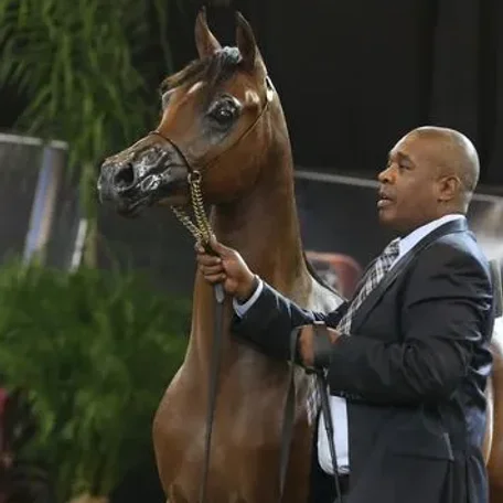 CADANCE PA (CAVALLI x DONATELLA)