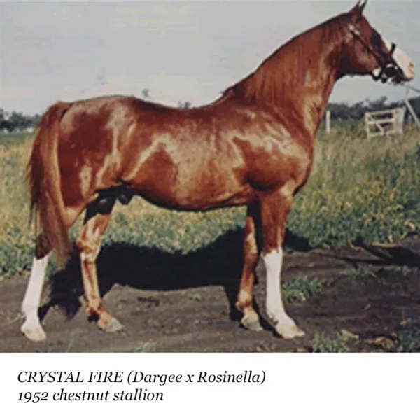 Crystal Fire