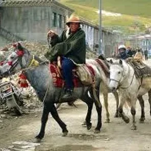 Tibetan