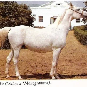 Malutka