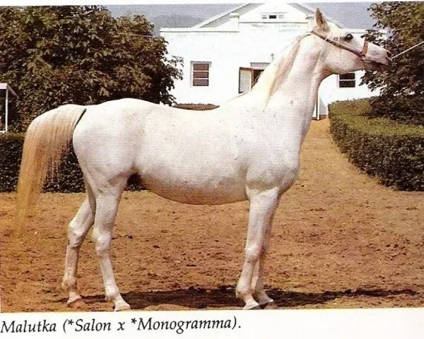 Malutka