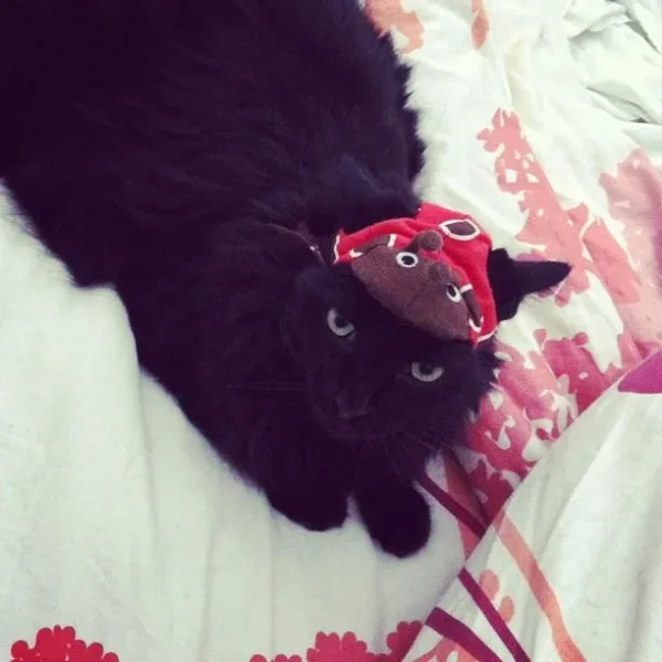 Petey Pablo
