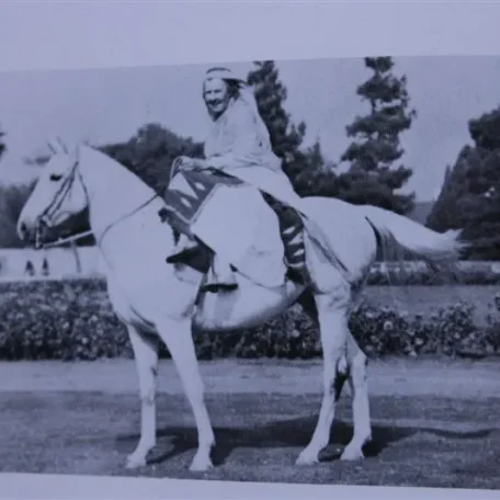 Araki (Raseyn x Narlah) grey mare, foaled June 11, 1939bred by W.K. Kellogg Institute
