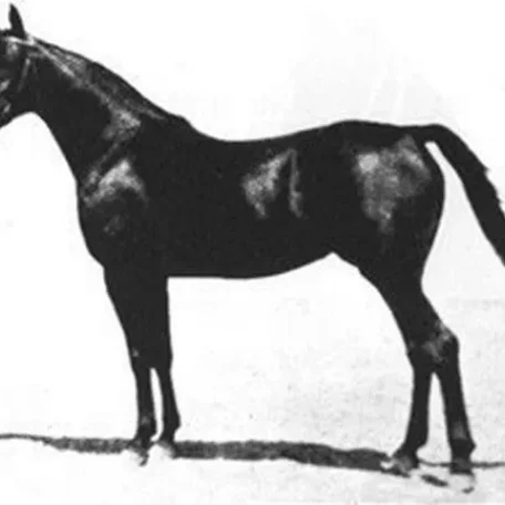 Bint Sabah
