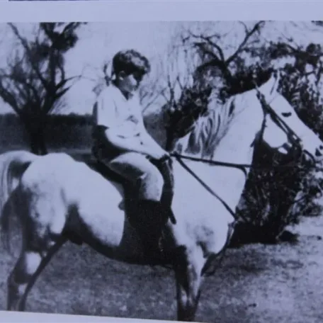 Ramaloum (Raseyn x Malouma) grey stallion, foaled July 2, 1940bred by W.K. Kellogg Institute