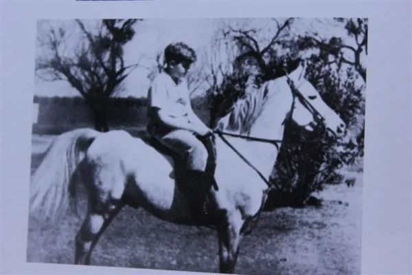 Ramaloum (Raseyn x Malouma) grey stallion, foaled July 2, 1940bred by W.K. Kellogg Institute