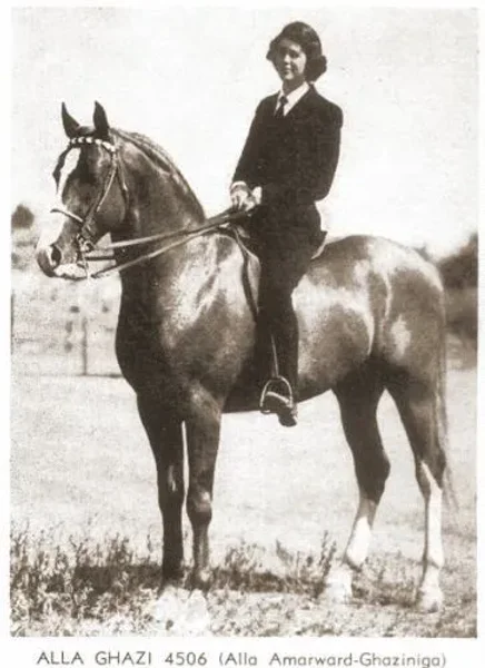 Alla Ghazi