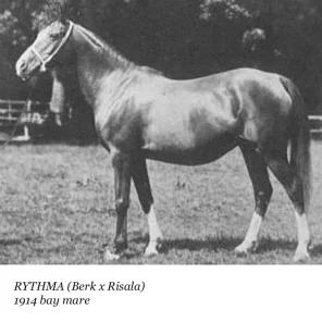 Rythma