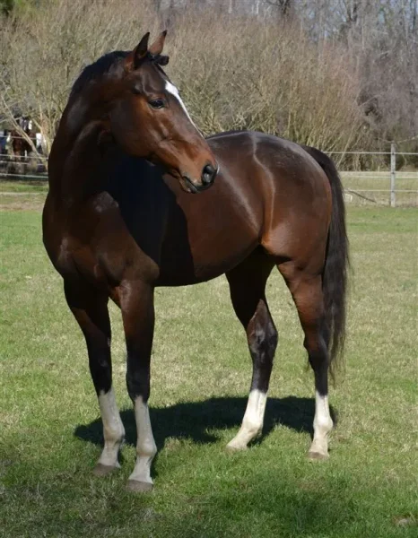 Catalpa Hill Training Center