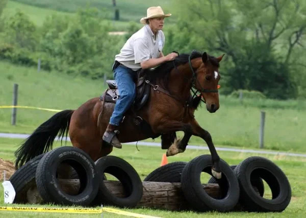 Scott Purdum Horsemanship