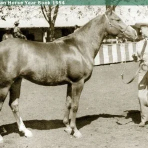 ZAMMARA