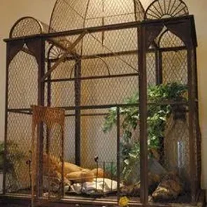 The Best Pet Bird Cages