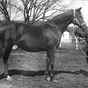 CARABINE