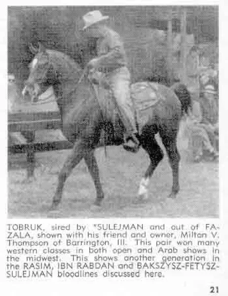 TOBRUK