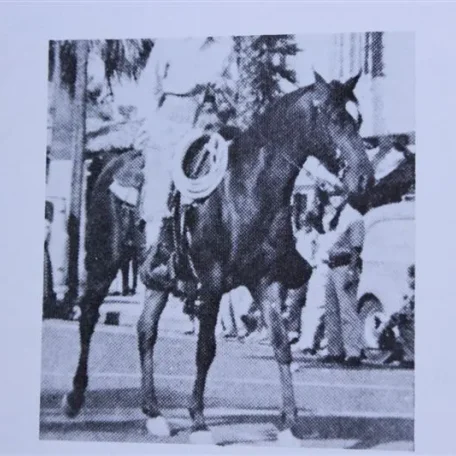 Sedan (Raseyn x Ferdana) bay stallion, foaled October 23,1946
bred by United States Government
