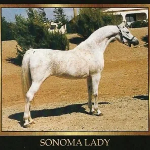 Sonoma Lady