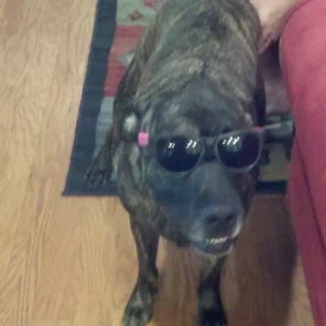Buster
