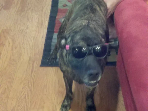 Being cool
