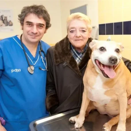 The third PDSA Gold Medal was a posthumous award to Oi, a courageous Staffordshire bull terrier. When a gang armed with machetes forced their way into the family's London home in July 2008, Oi was there to confront the intruders.